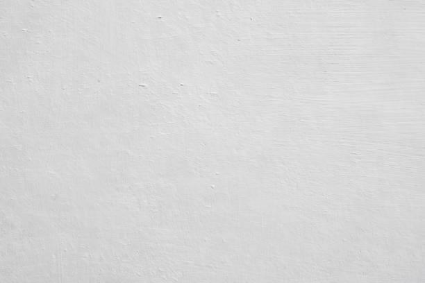 Best Basement Mold Removal  in Riverside, IL