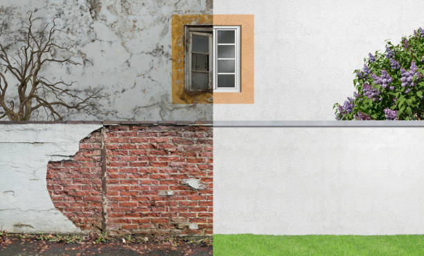 Reliable Riverside, IL Mold Removal Solutions
