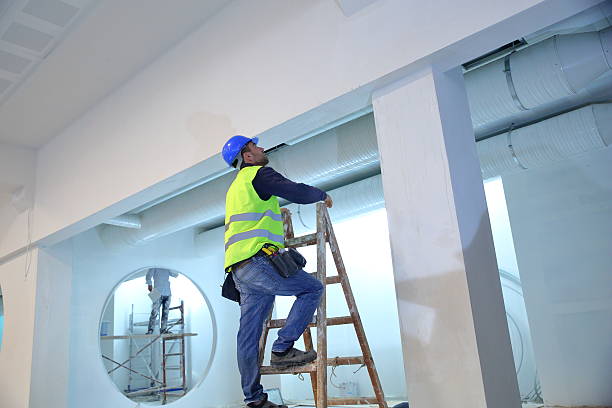 Best Post-Construction Mold Inspection  in Riverside, IL