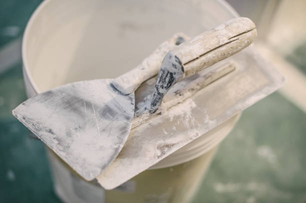 Best Environmental Consulting for Mold Prevention  in Riverside, IL